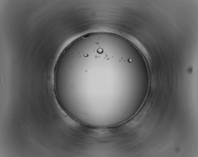 X0000101691388200807241359