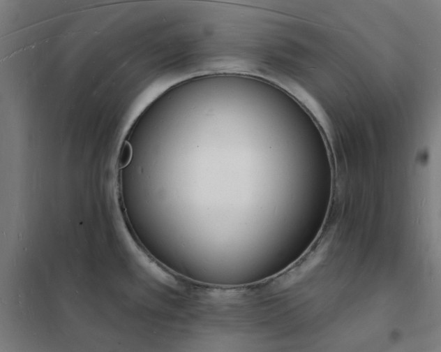 X0000101691389200807241359