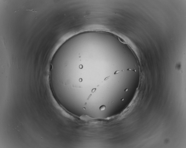 X0000101691390200807241359