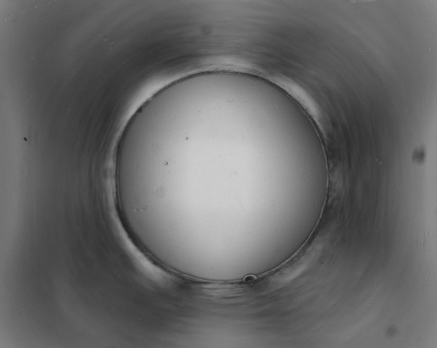 X0000101691391200807241359