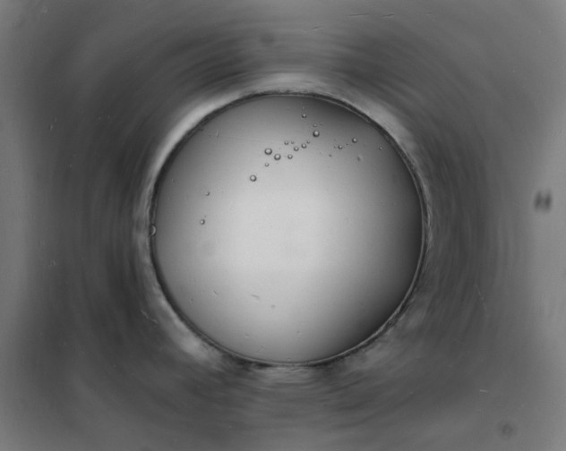 X0000101691392200807241359