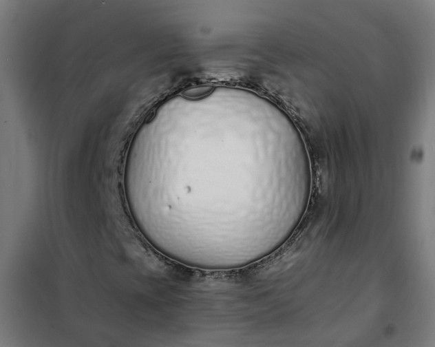 X0000101691393200807241358