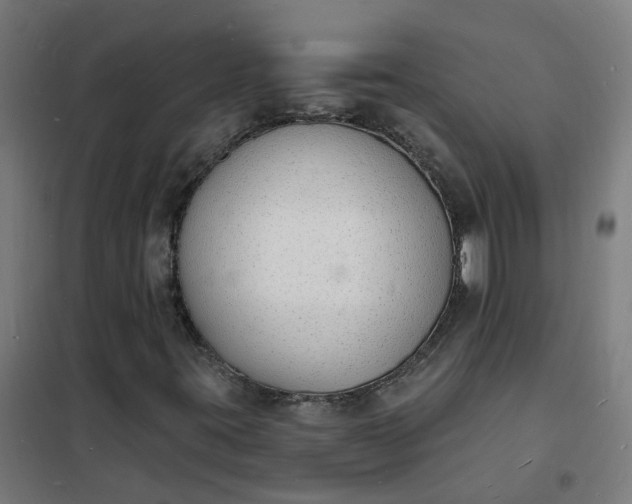 X0000101691395200807241358