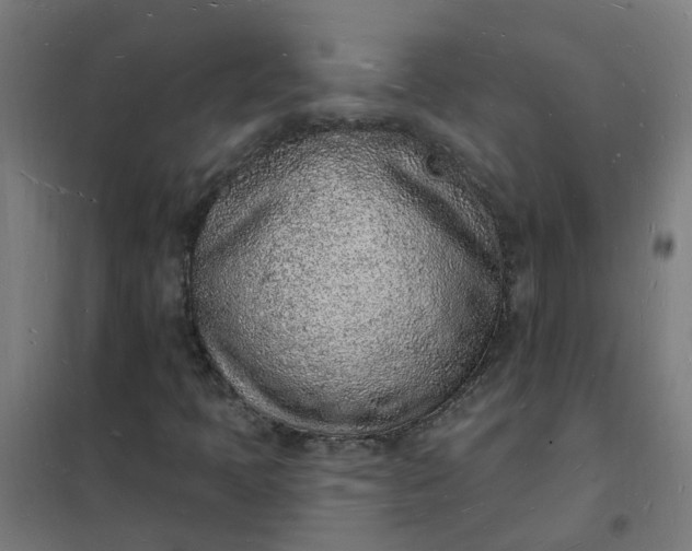 X0000101691397200807241358