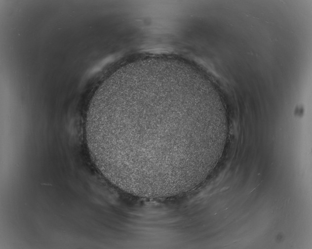 X0000101691398200807241358