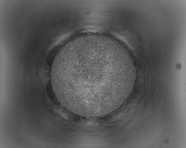 X0000101691399200807241358