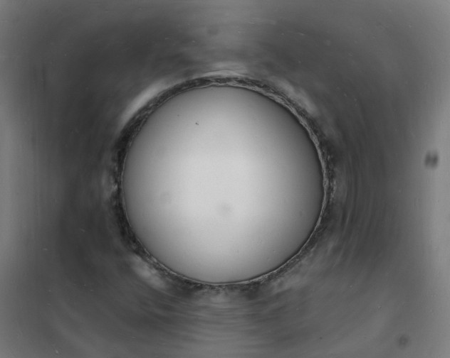 X0000101691400200807241358