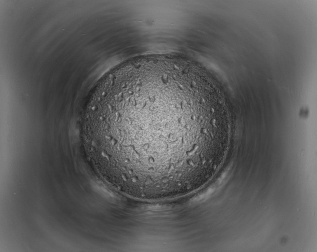 X0000101691401200807241358