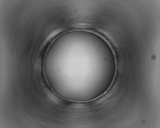 X0000101691402200807241358