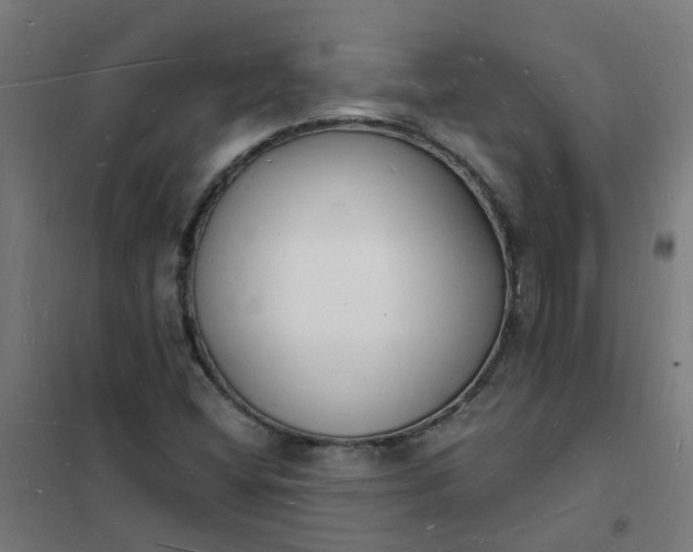 X0000101691404200807241358