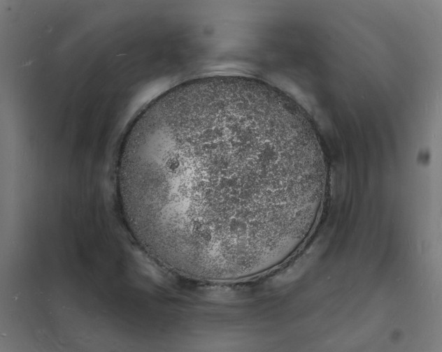 X0000101691405200807241358