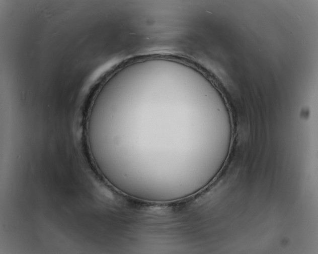 X0000101691406200807241358