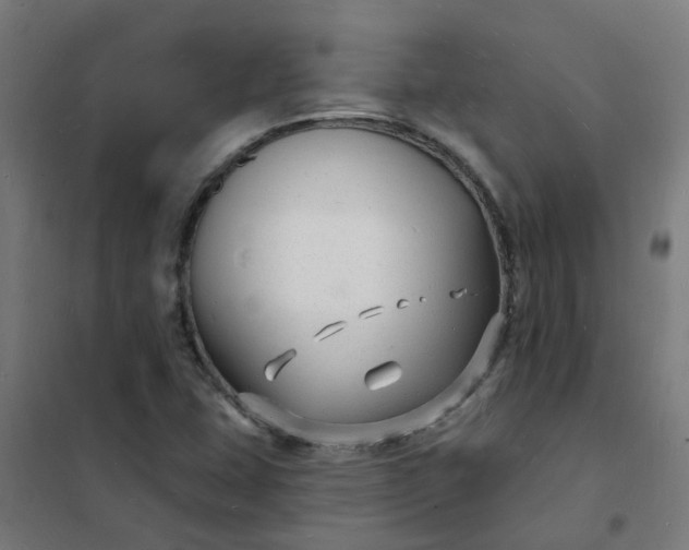 X0000101691407200807241358