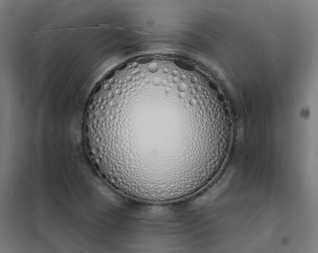 X0000101691409200807241358