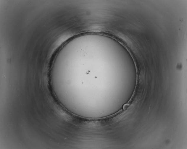 X0000101691410200807241358