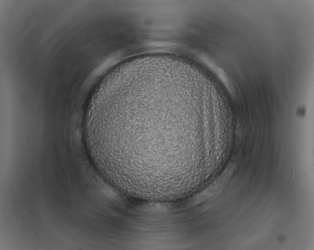 X0000101691411200807241358