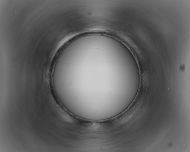 X0000101691412200807241358