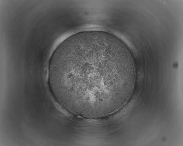 X0000101691413200807241358