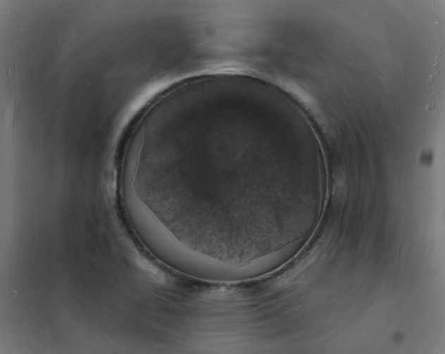 X0000101691414200807241358