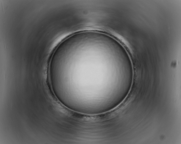 X0000101691415200807241358