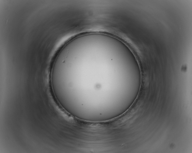 X0000101691416200807241358