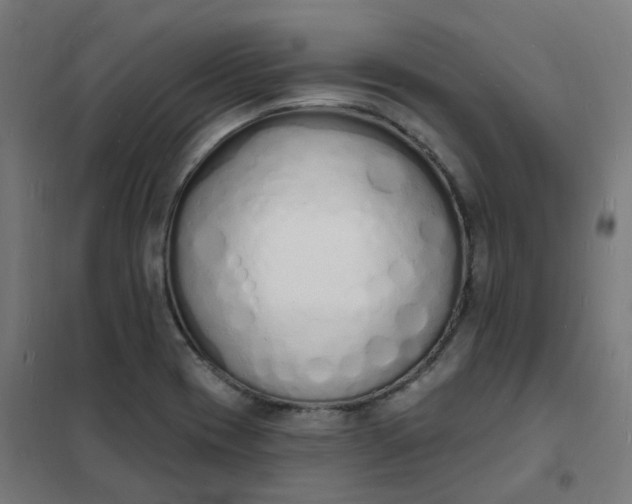 X0000101691417200807241358