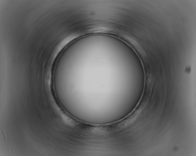 X0000101691418200807241358