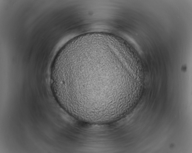 X0000101691419200807241358