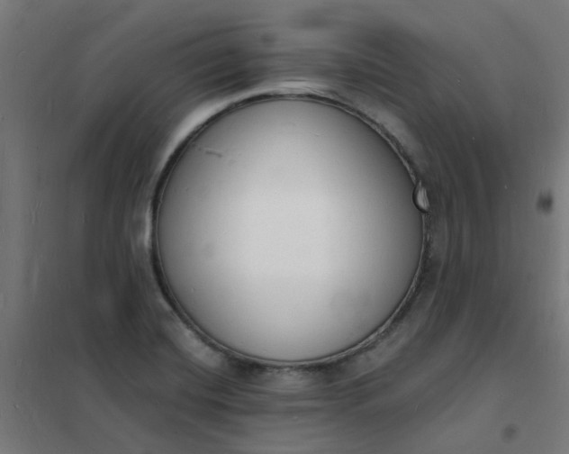 X0000101691420200807241358