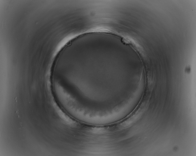 X0000101691422200807241358