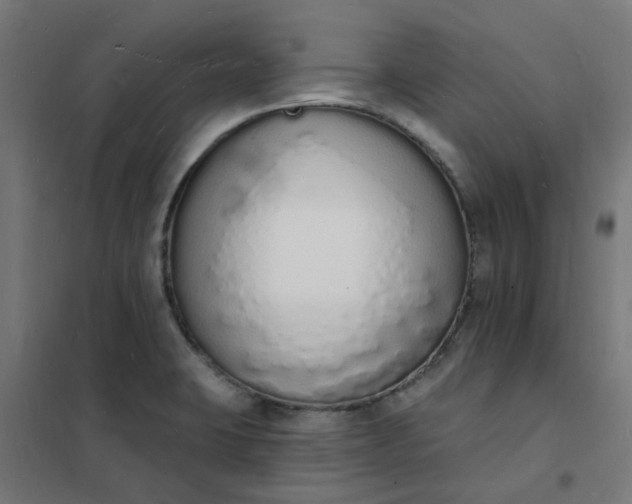 X0000101691423200807241358