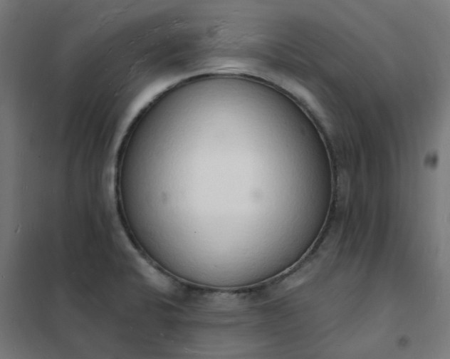 X0000101691424200807241358