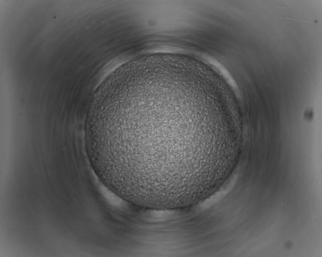 X0000101691425200807241358