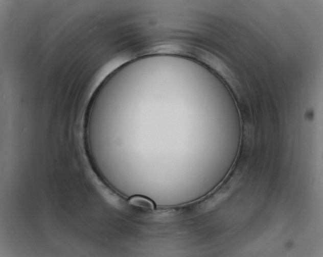 X0000101691426200807241358