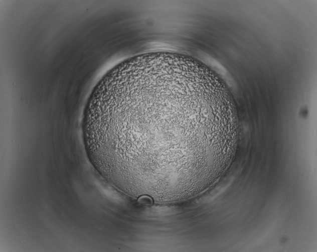 X0000101691427200807241358