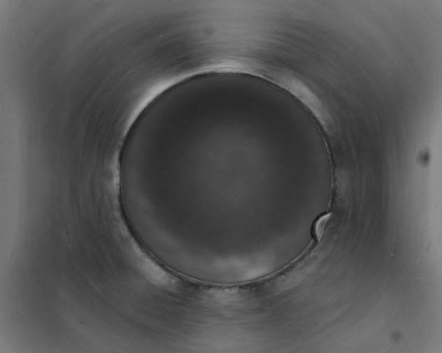 X0000101691428200807241358