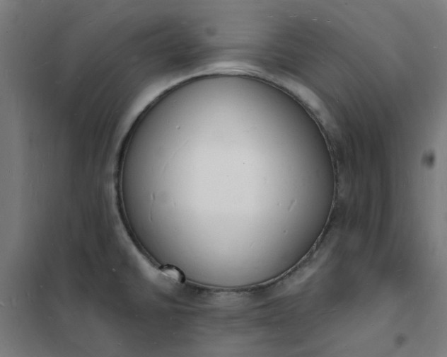 X0000101691430200807241359