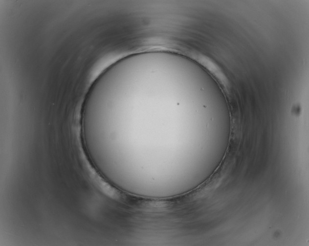 X0000101691431200807241359