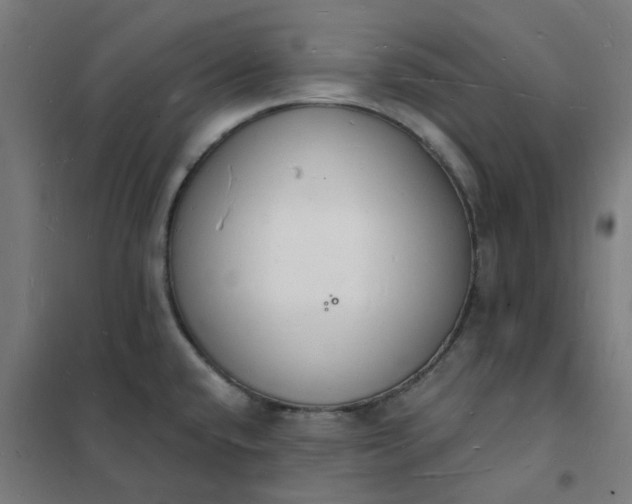 X0000101691432200807241359