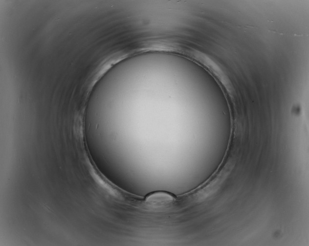 X0000101691433200807241359