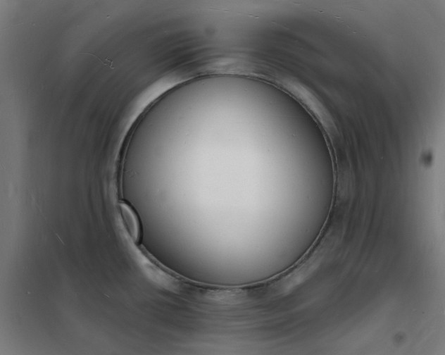 X0000101691434200807241359