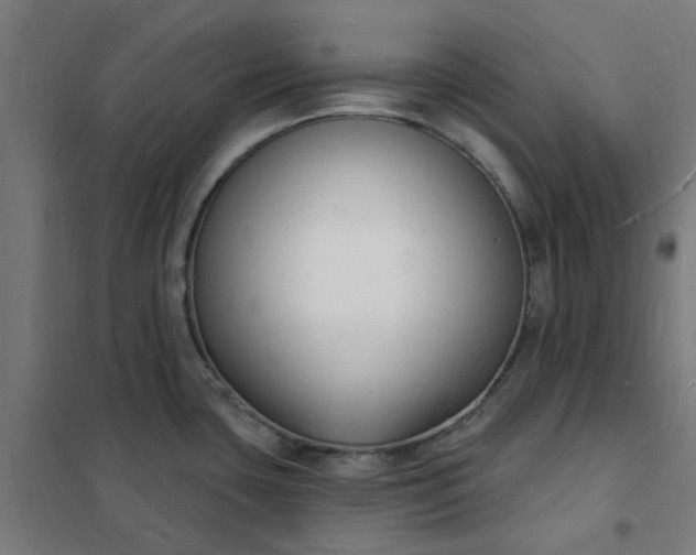 X0000101691435200807241359