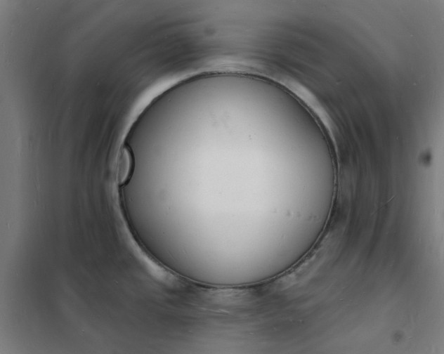 X0000101691437200807241359