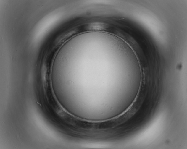 X0000101691438200807241359