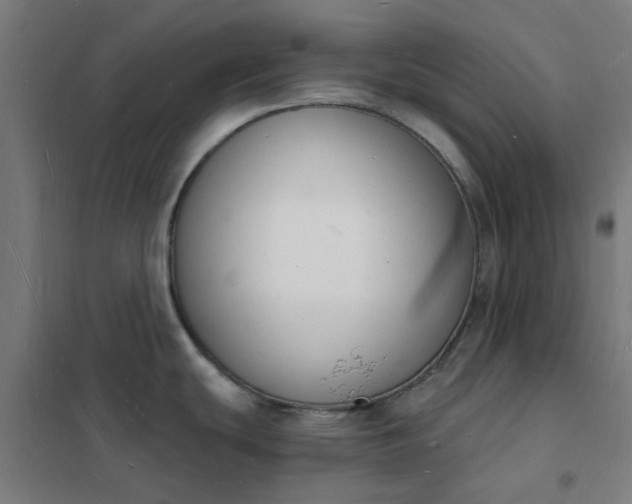 X0000101691439200807241359