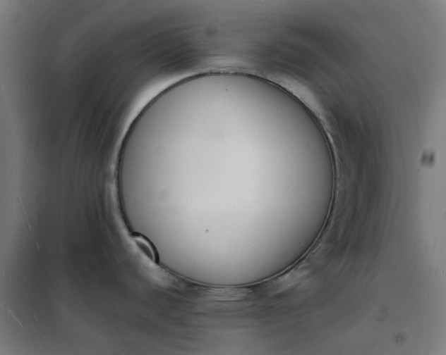 X0000101691440200807241359