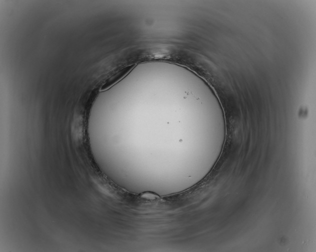 X0000101691442200807241358