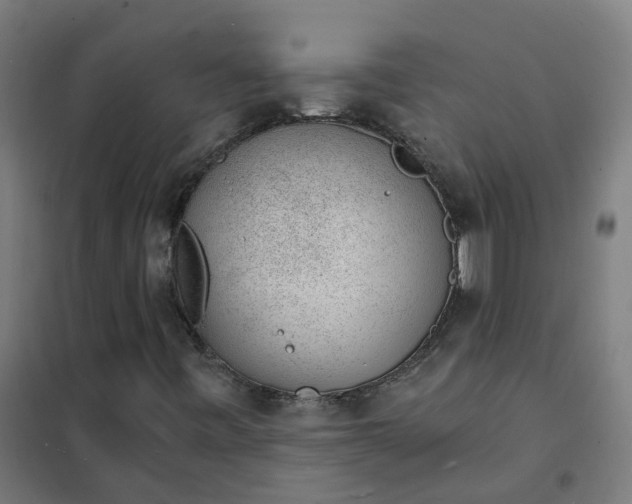 X0000101691443200807241358