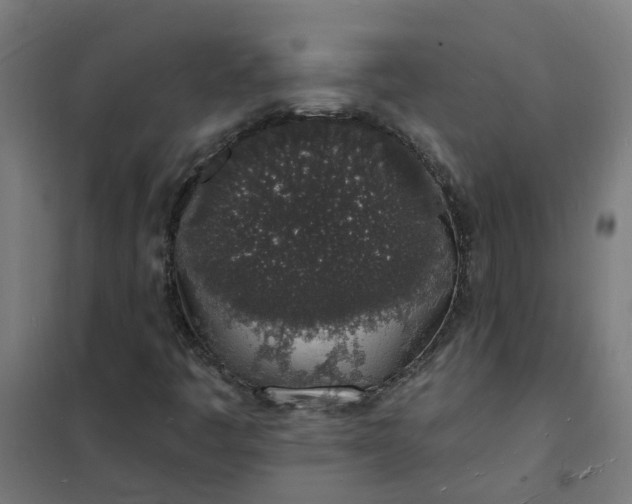 X0000101691445200807241358