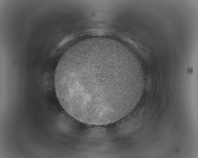 X0000101691446200807241358